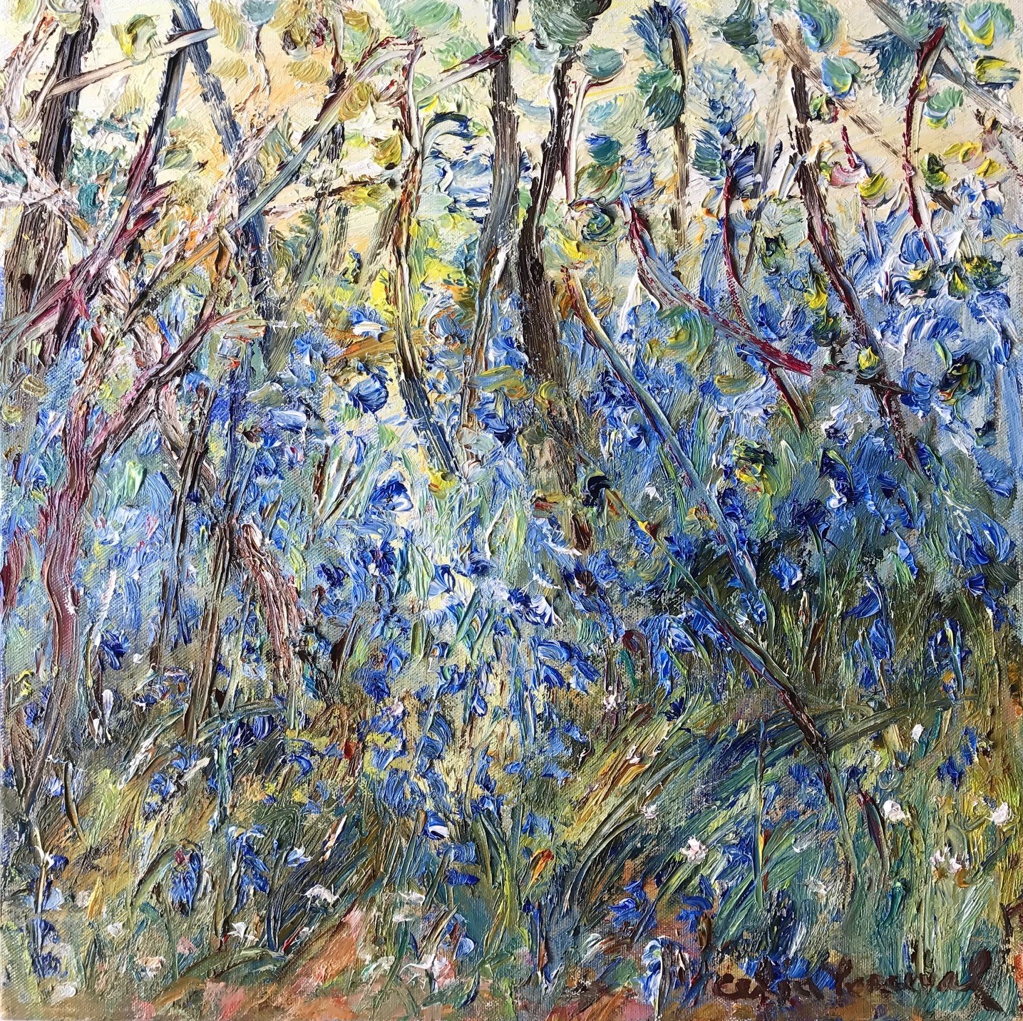 Perceval_Bluebells in Rodd Wood_oil on canvas_ 40x40_Master