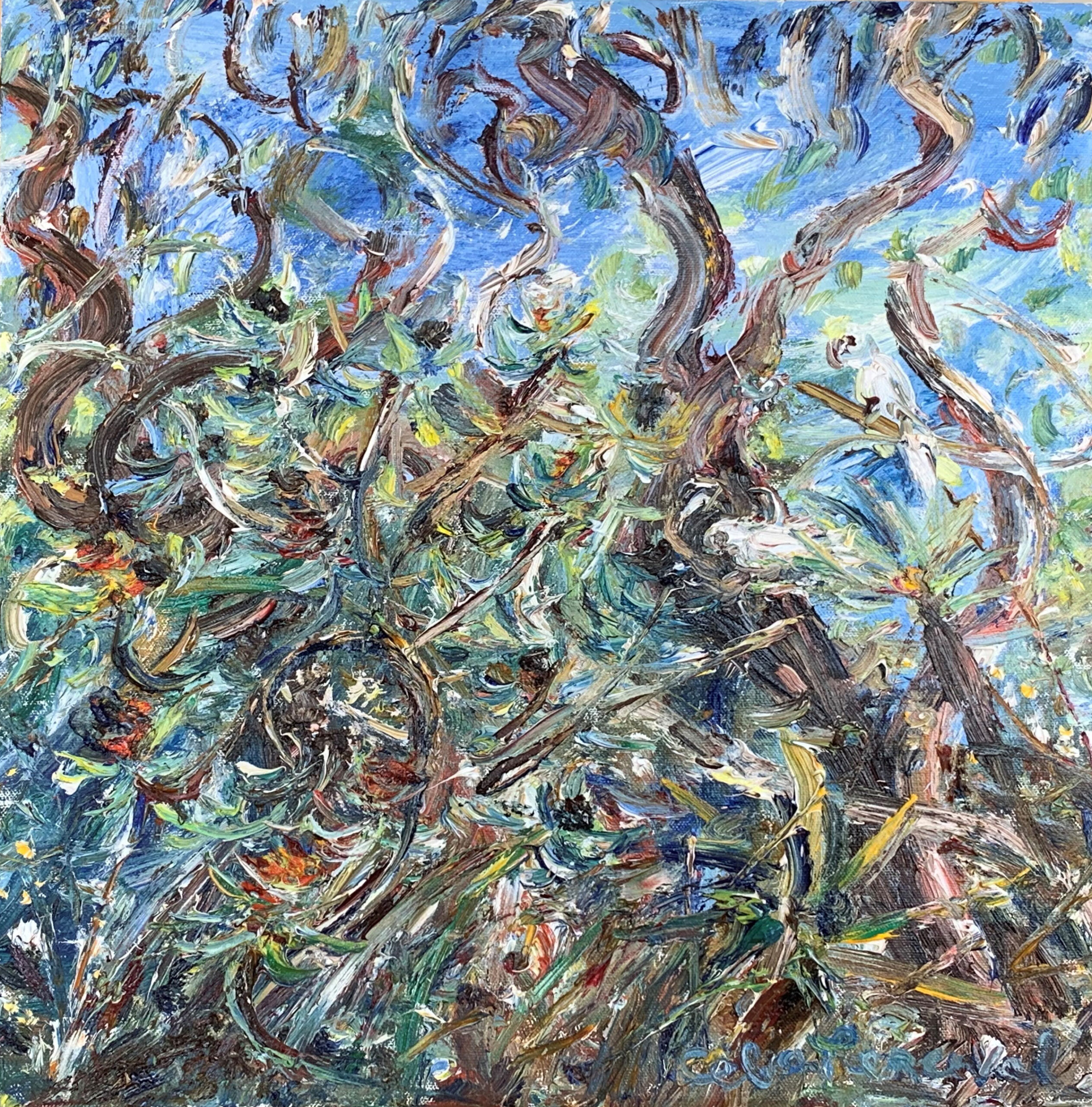 Perceval_Cockatoss Nesting in the Applegums with Banksias in Bundeena Bush NSW_oil on canvas_40x40_master