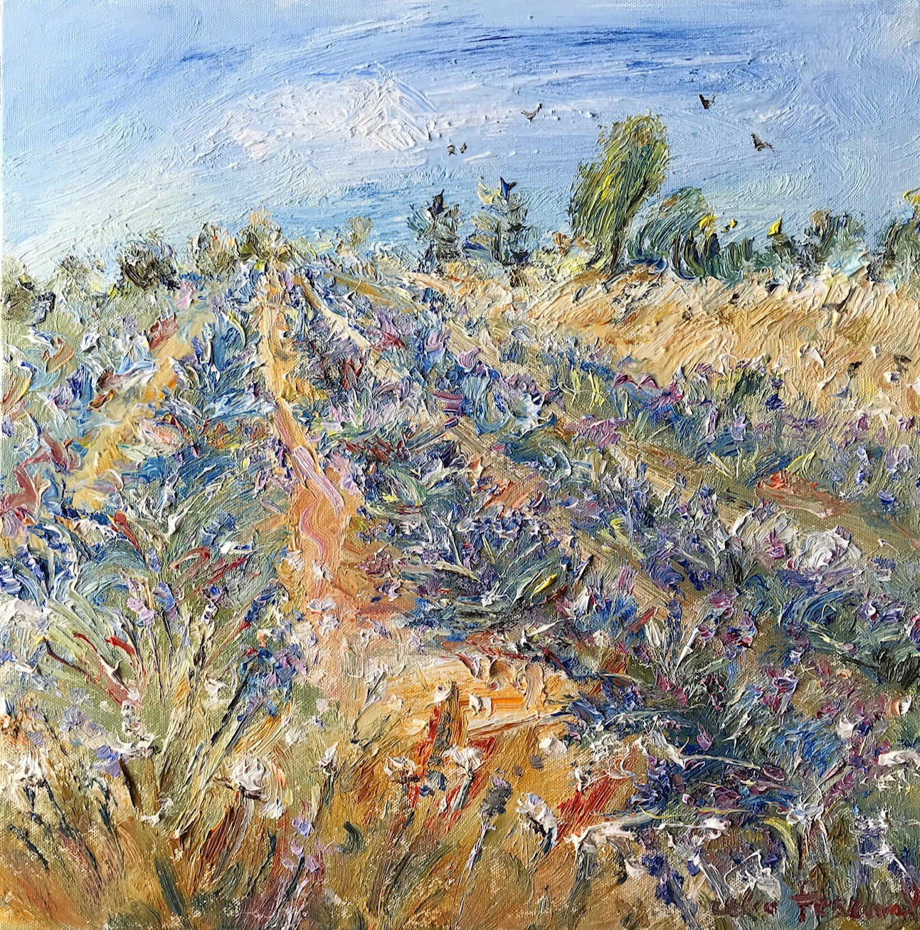 Perceval_Lavnedar Fields above Castellane,France_oil on canvas _ 40x40 three