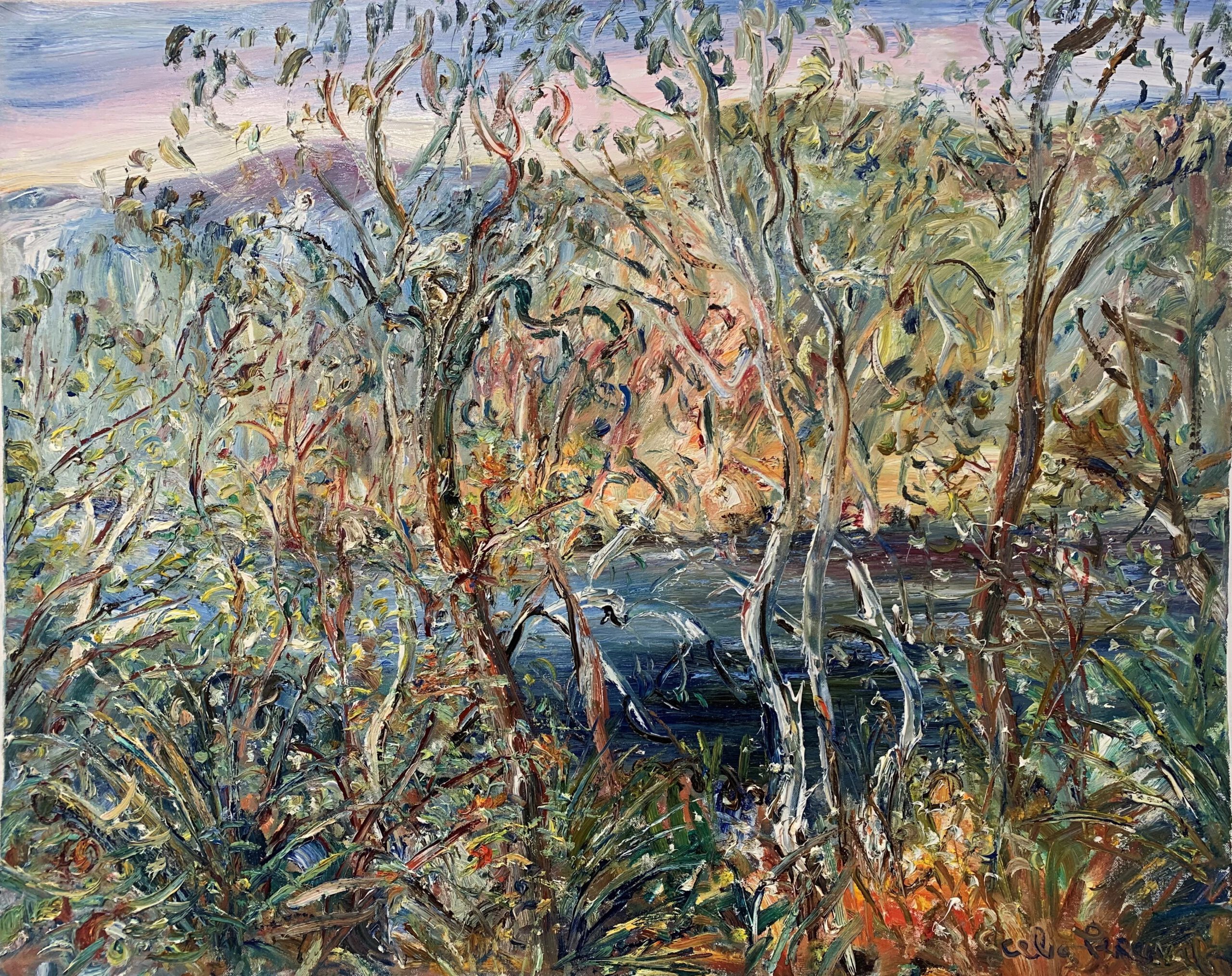 Perceval-Hacking River Cockies Nesting Royal National Park-oil on linen-80 x 100cm-master