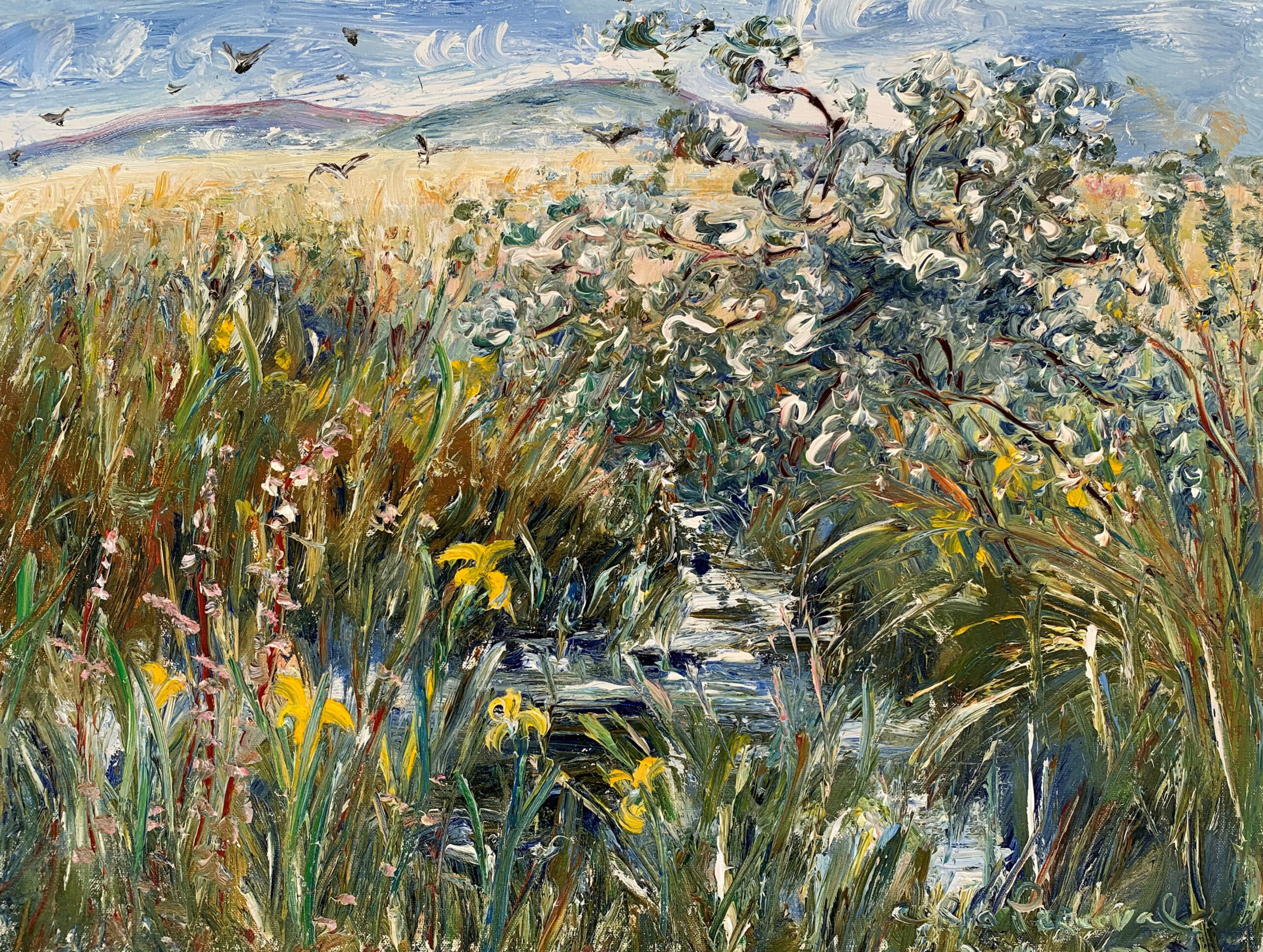 Perceval-Wild Yellow Iris In The Creek (at Coen Kerry Ireland)-oil on canvas-46 x 61cm-master