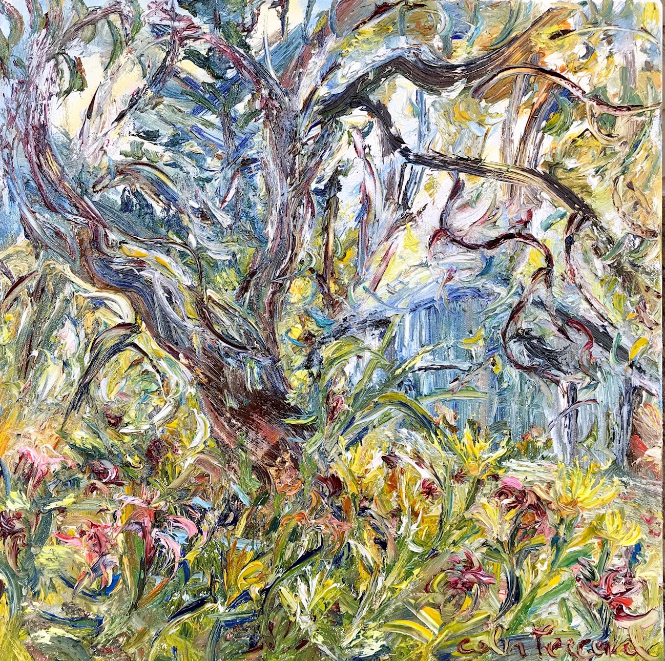Celia Perceval 'Old Tree Over Polly's Shed with Flowers and Crow' oil on canvas 40 x 40cm $4,900
