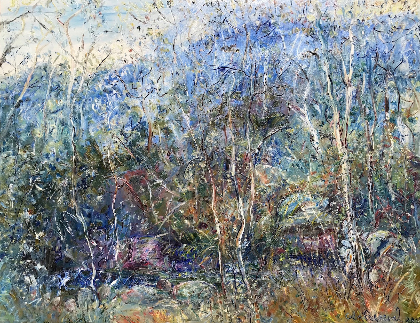 Celia Perceval 'Black Cockatoos Deep in the Gully with Rock Pools on Bells Beach' oil on canvas 153 x 198cm $44,500