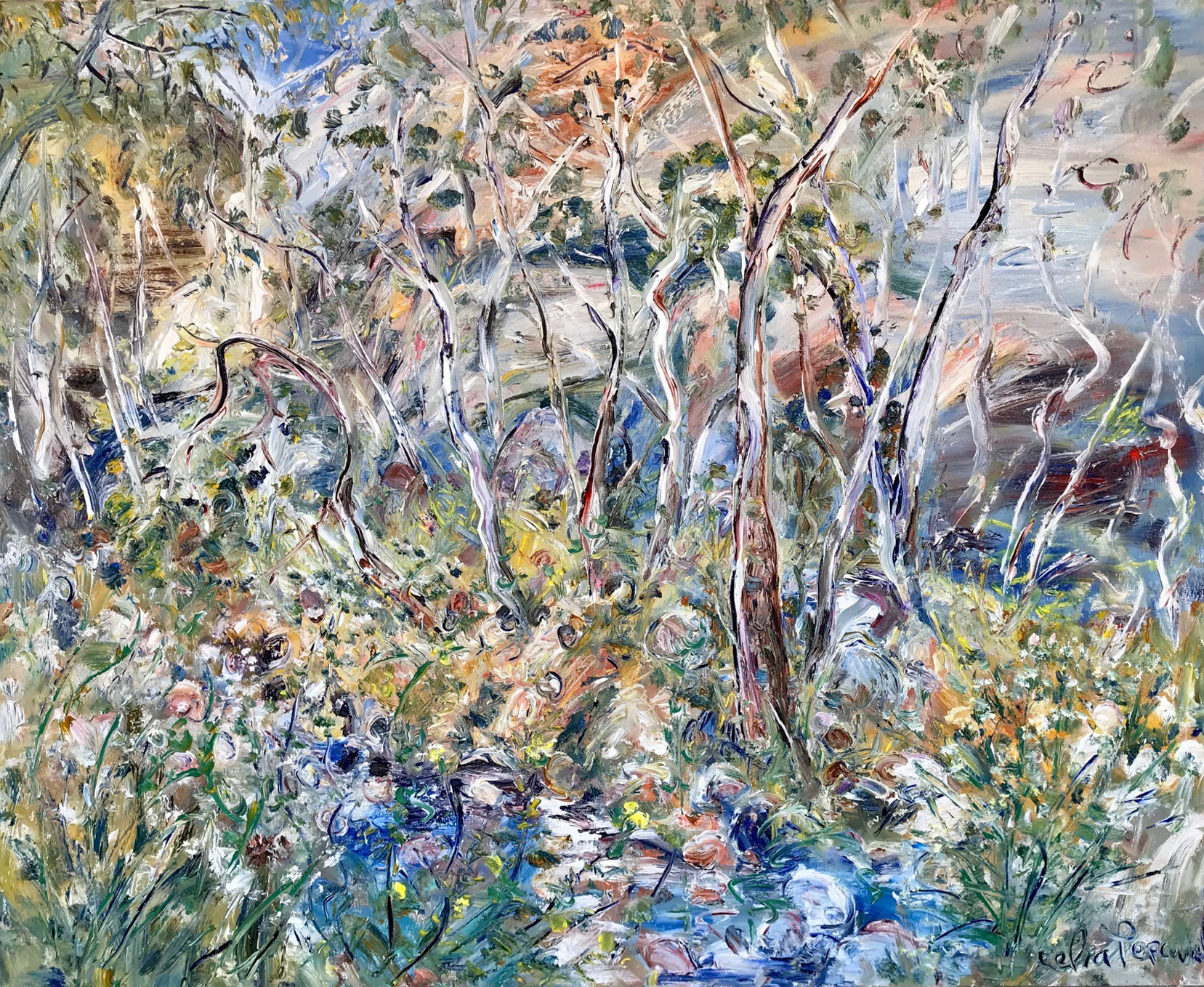 Celia Perceval 'White Cockatoos in the Gorge, Grampians' oil on canvas 102 x 123cm $20,800