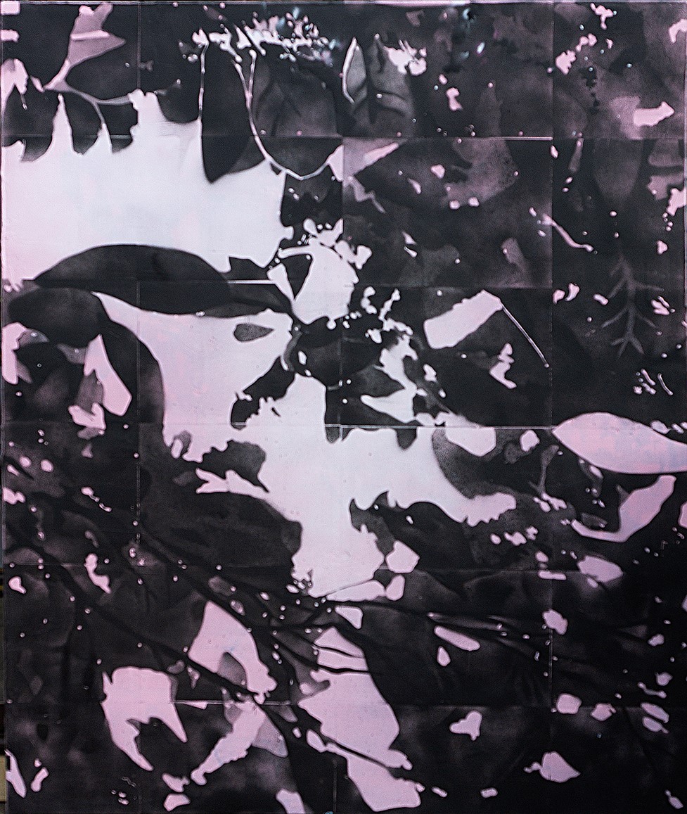 Mark Hislop 'Phototrope 2' acrylic on canvas 167 x 137cm $9,900