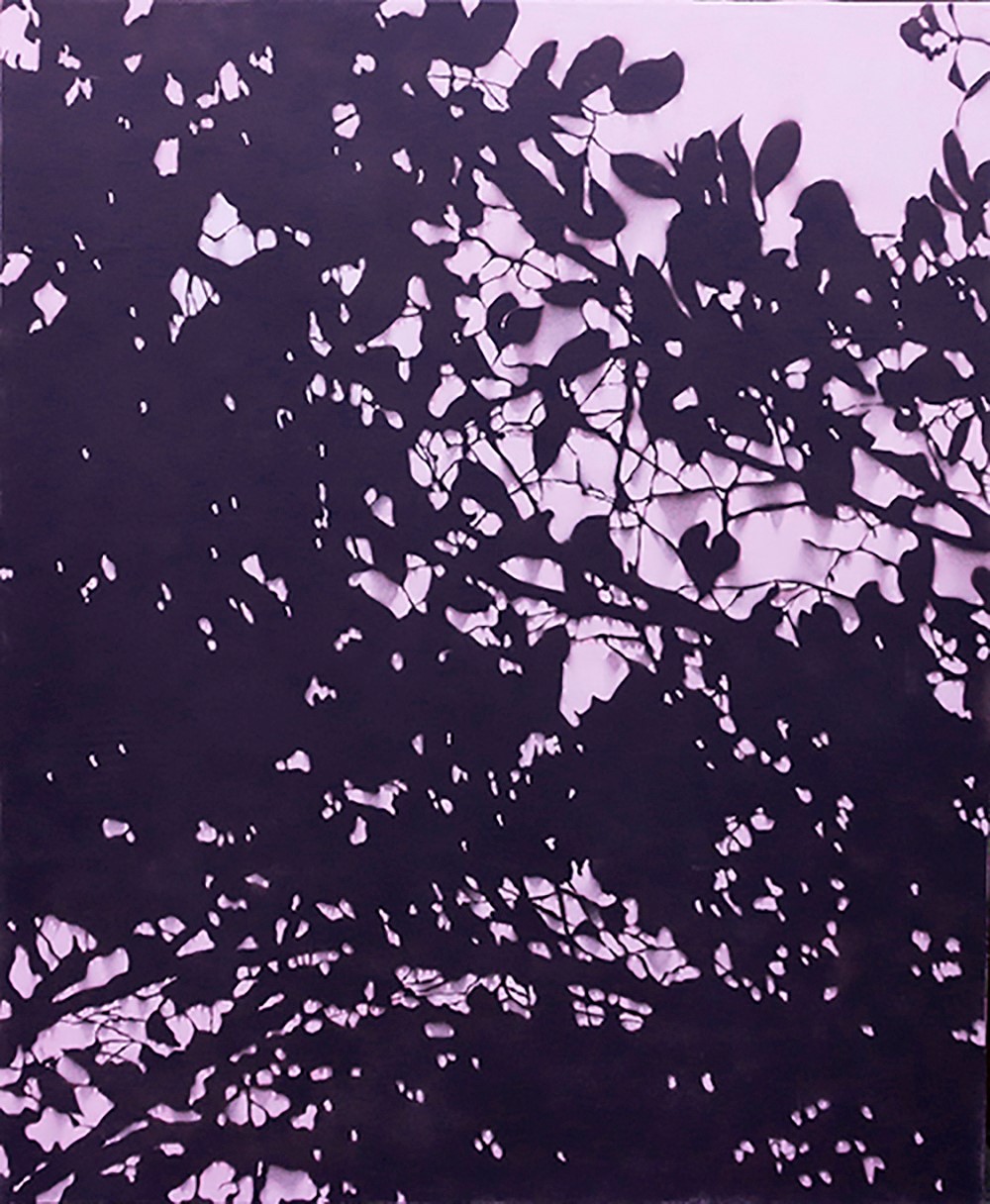 Mark Hislop Phototrope 3 acrylic on canvas 167 x 137cm $9,900