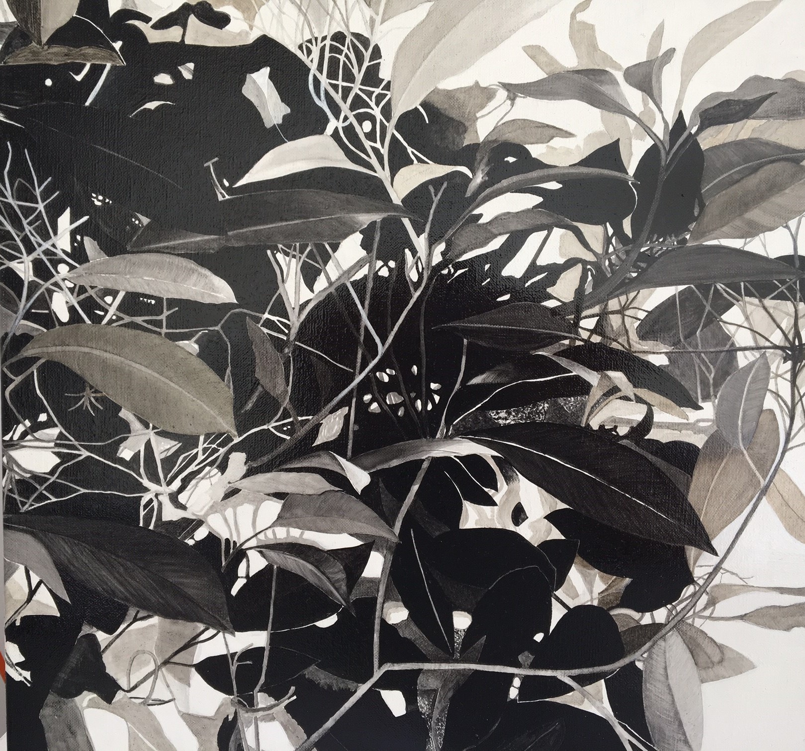 Mark Hislop foliage 4 oil on canvas 40 x 40cm