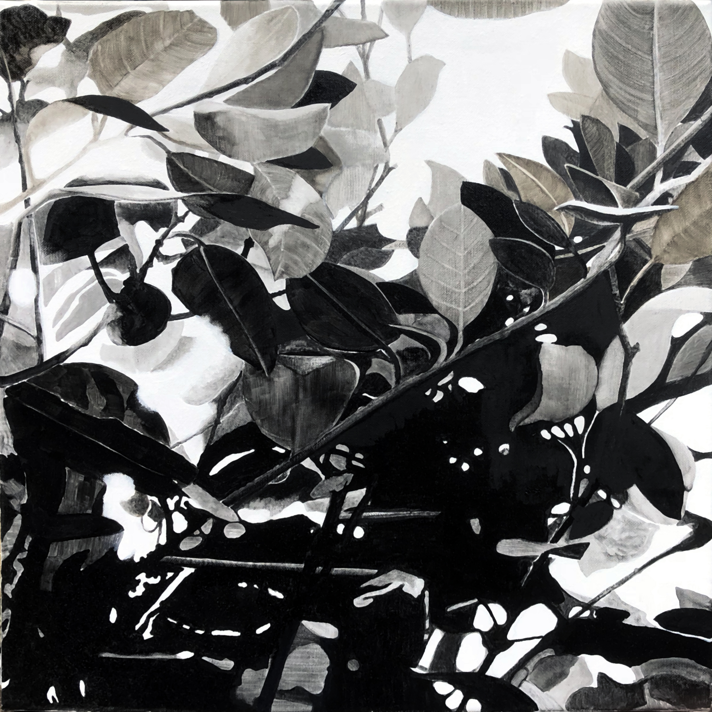 Mark Hislop Foliage 3 oil on canvas 40 x 40cm