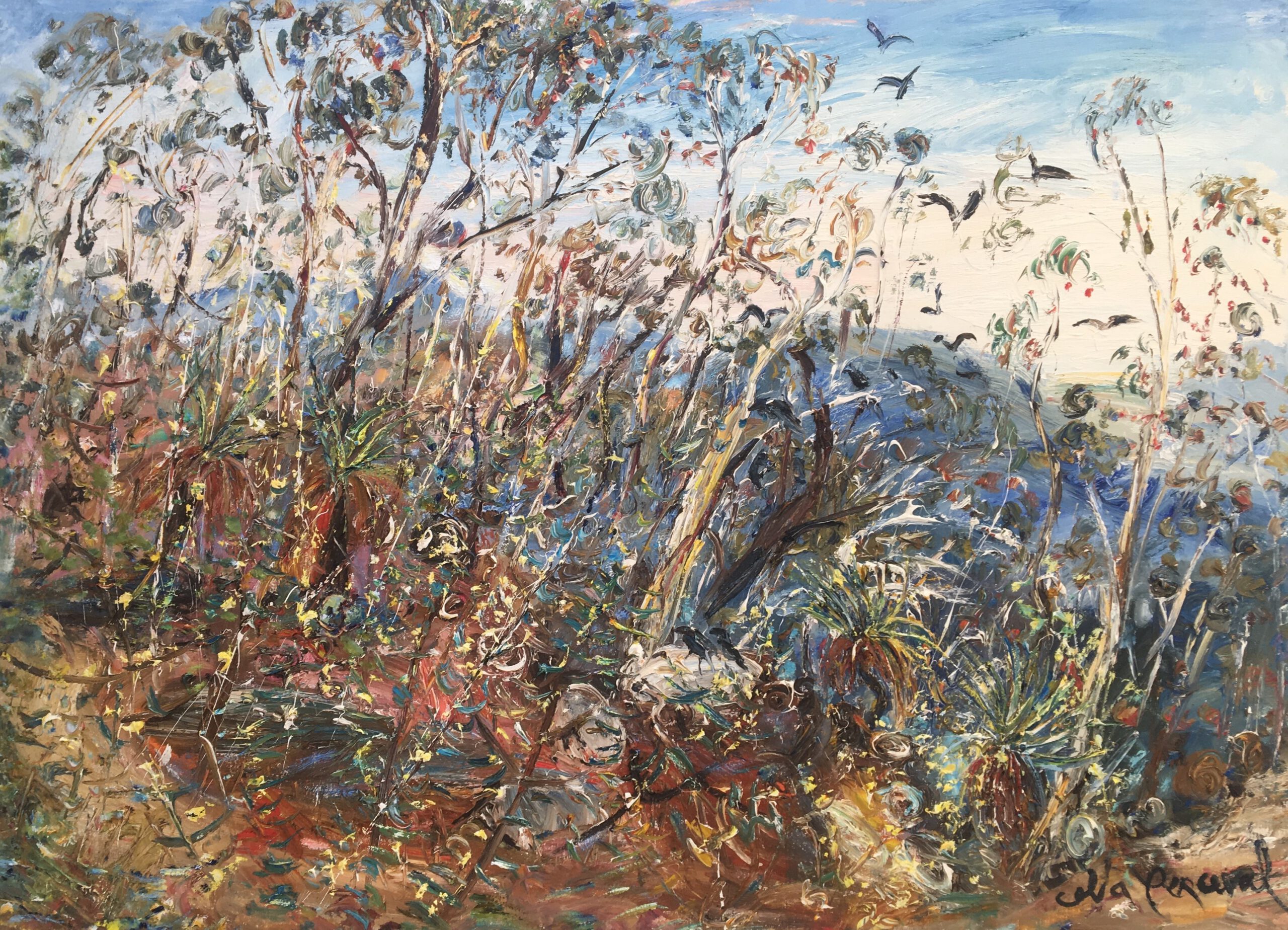 Celia Perceval 'Yowaka Ranges Above the Coast with Wattle and Grass Trees' oil on canvas 102 x 138cm $22,000