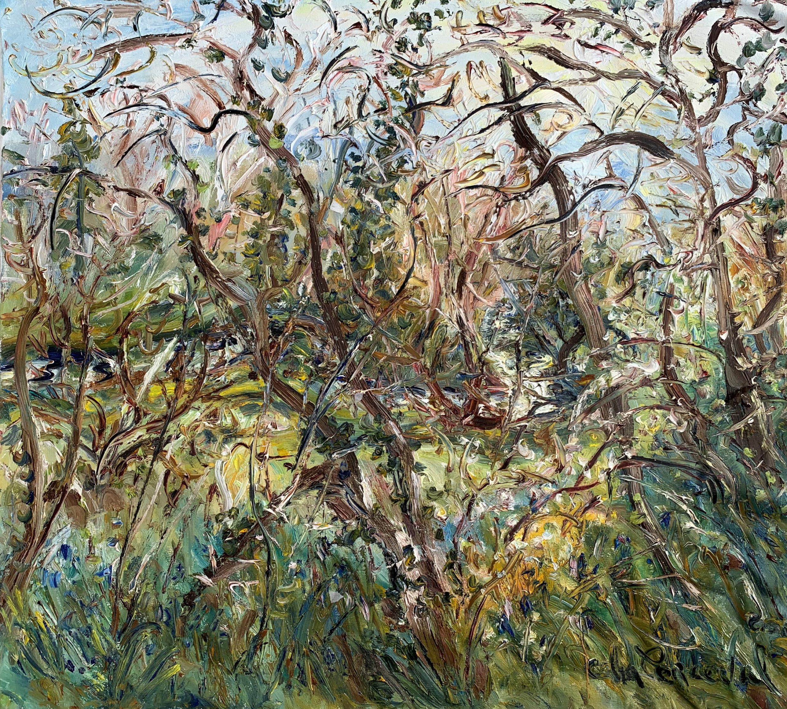 Celia Perceval 'The Hindwell Brook Winding Through the Woods with Bluebells and Blossom' oil on canvas 76 x 83cm $14,000