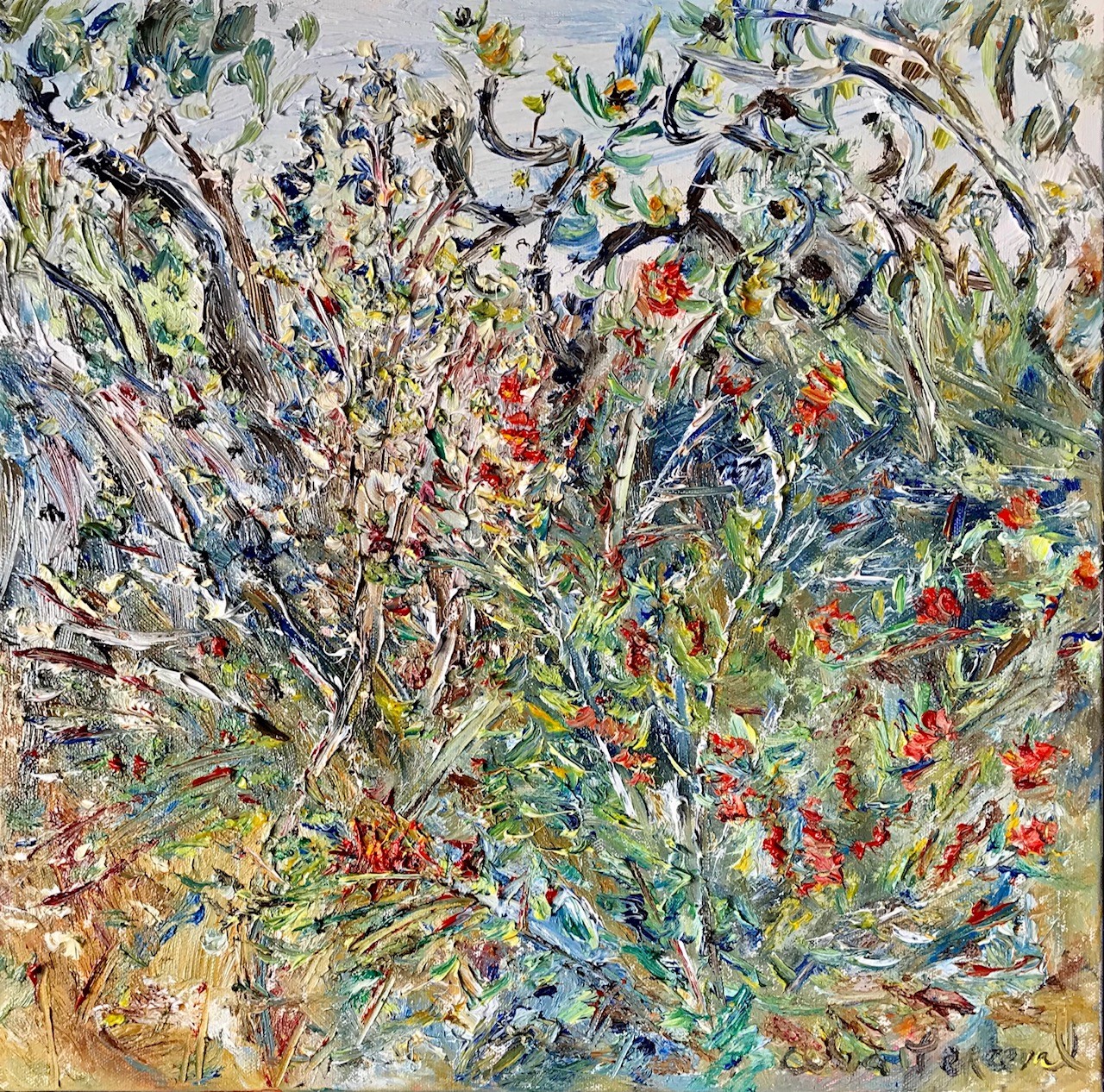 Perceval Bottlebrush and Banksia in the Wildflowers NSW Coastal Bushland oil on canvas 40 x40cm