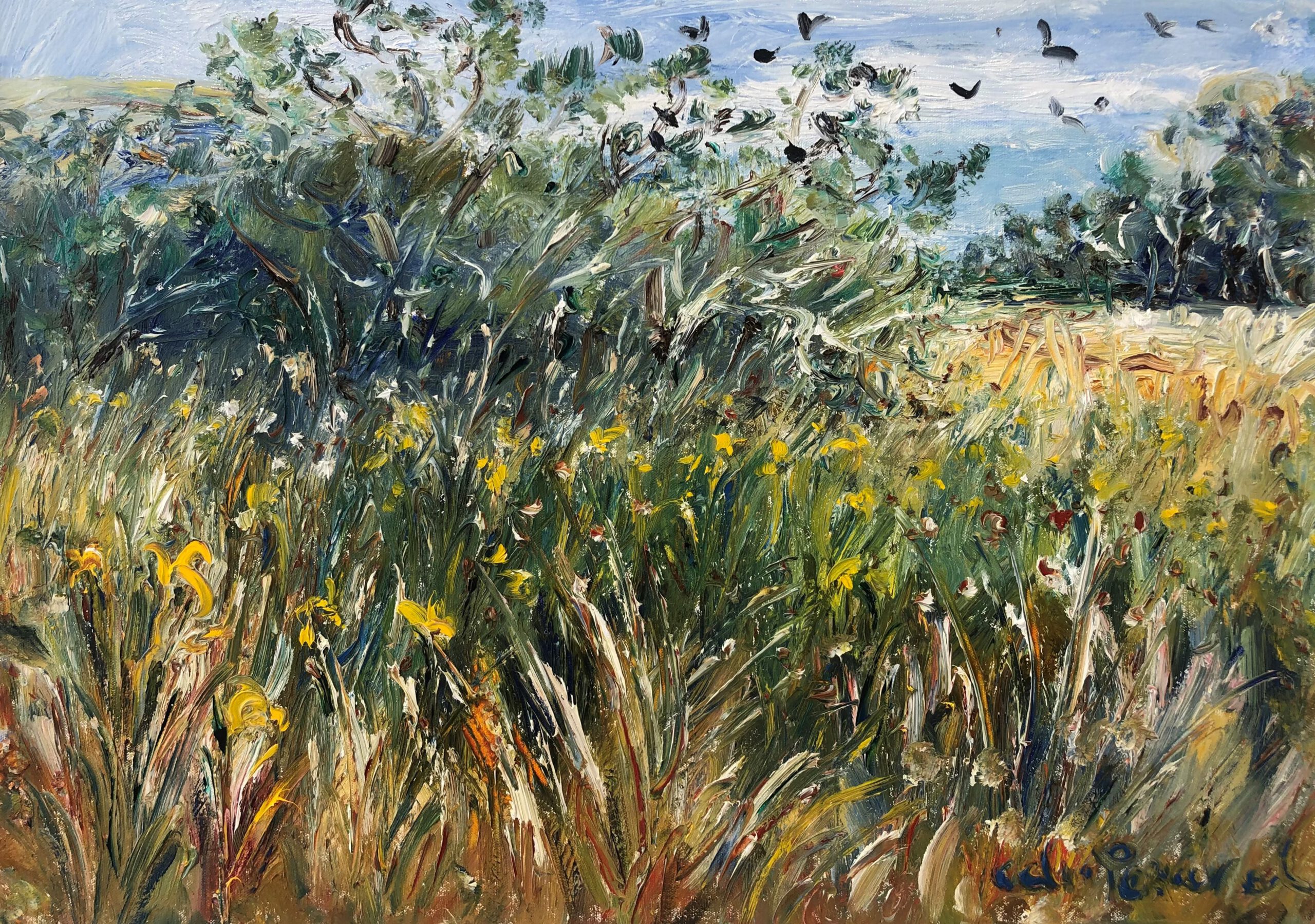 Celia Perceval 'Wild Iris in the Long Grass (West Coast, Ireland)' oil on canvas 70 x 50cm $9,500