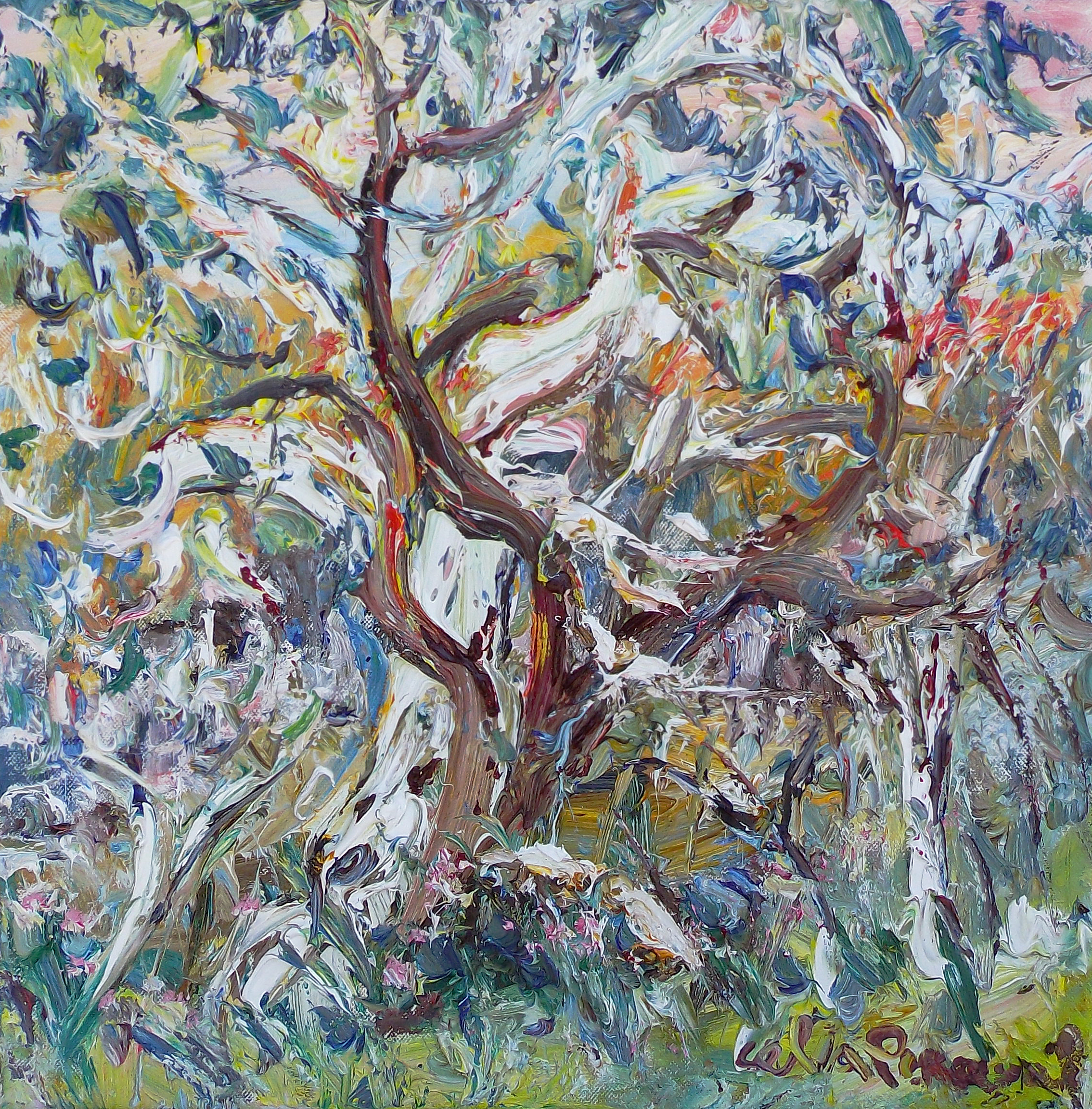 Celia Perceval 'Sunlight in the gums after the rain' oil on canvas 40 x 40cm $4,900