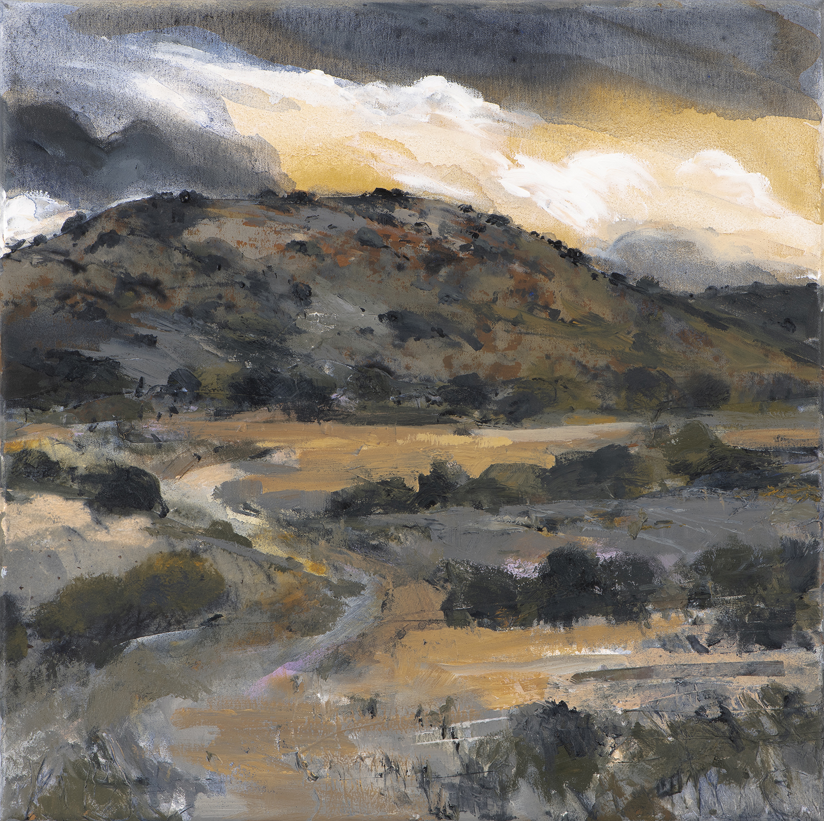 Judith White 'Western Plains (Study) 1' mixed media on canvas 40 x 40cm $2,900