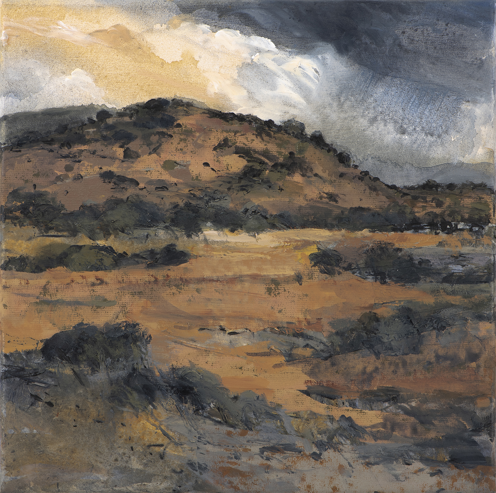 Judith White 'Western Plains (Study) 2' acrylic and collage on canvas 40 x 40cm $2,900