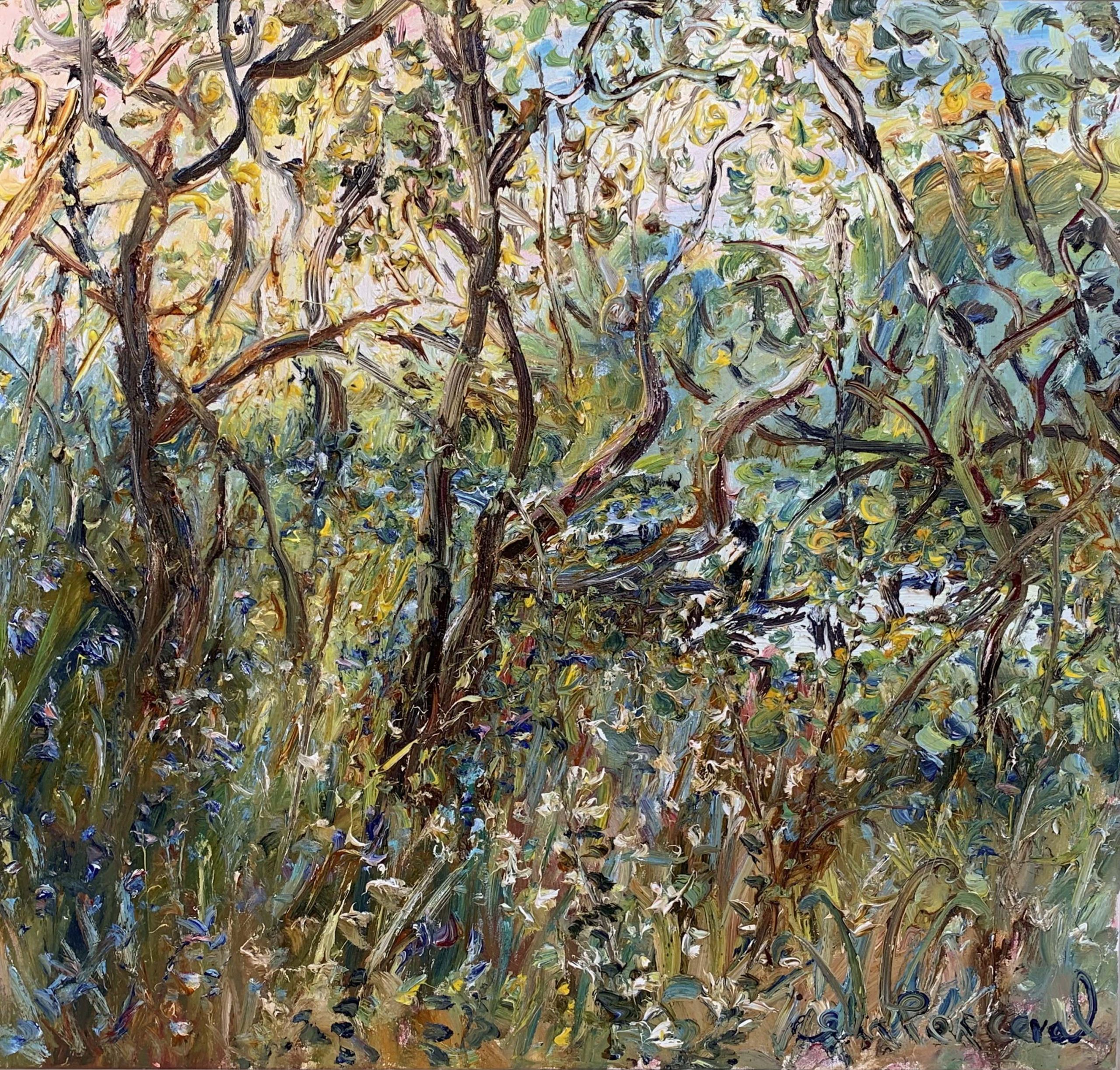 Celia Perceval 'Bluebells and snowdrops in swamp in cwm coed y cerrig, Wales' oil on canvas 80 x 85cm $14,000