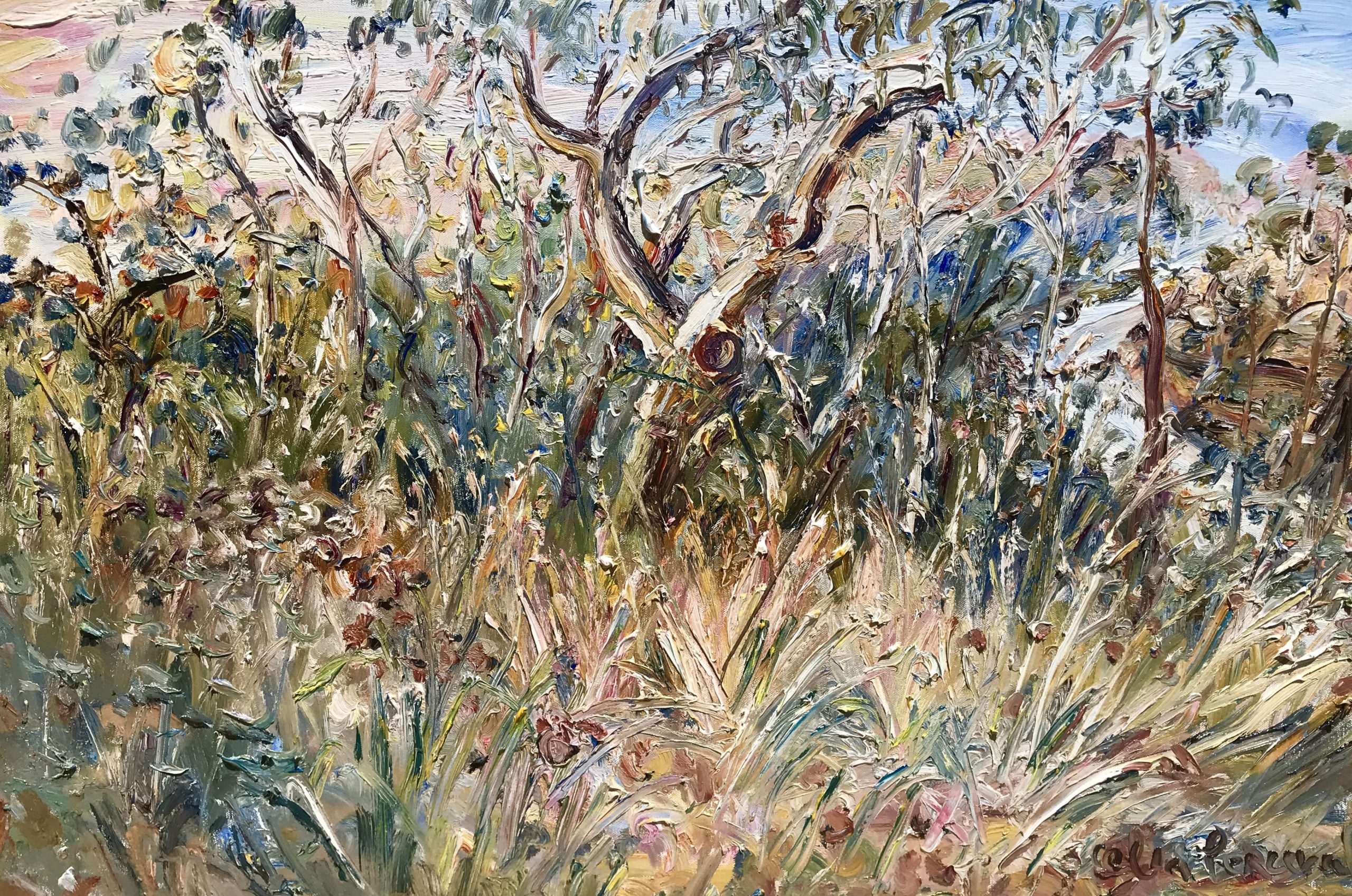 Celia Perceval 'Currawongs above the Shoalhaven' oil on canvas 61 x 92cm $13,000