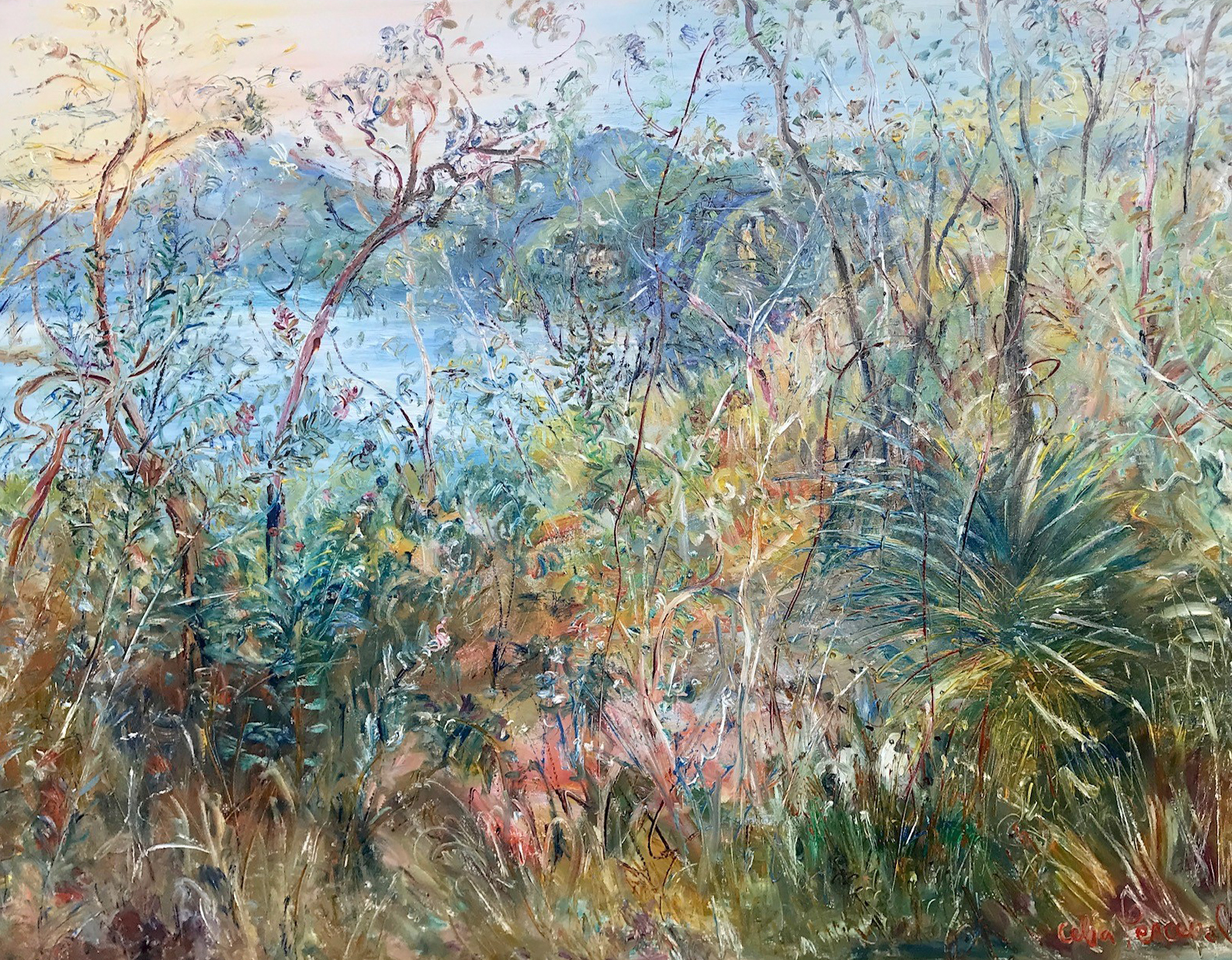 Celia Perceval 'White Cockies on the Mooney Mooney Creek' oil on canvas 153 x 198cm $44,500 SOLD