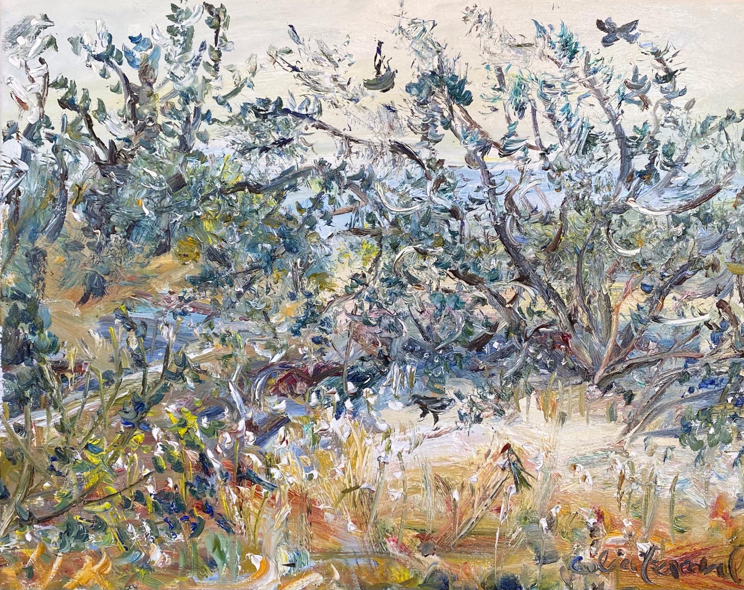 Celia Perceval 'Raven in the Bunnytails at Merrick's Beach' oil on canvas 61 x 75cm $10,000