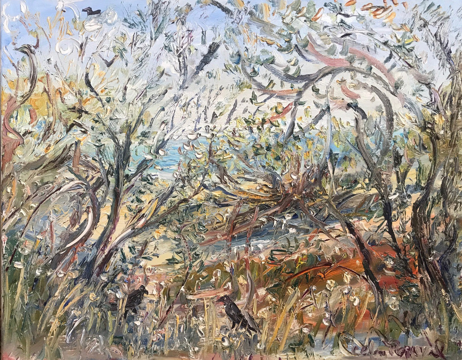 Celia Perceval 'Ravens in the Tea Trees Merrick's Beach' oil on canvas 61 x 76cm $10,000