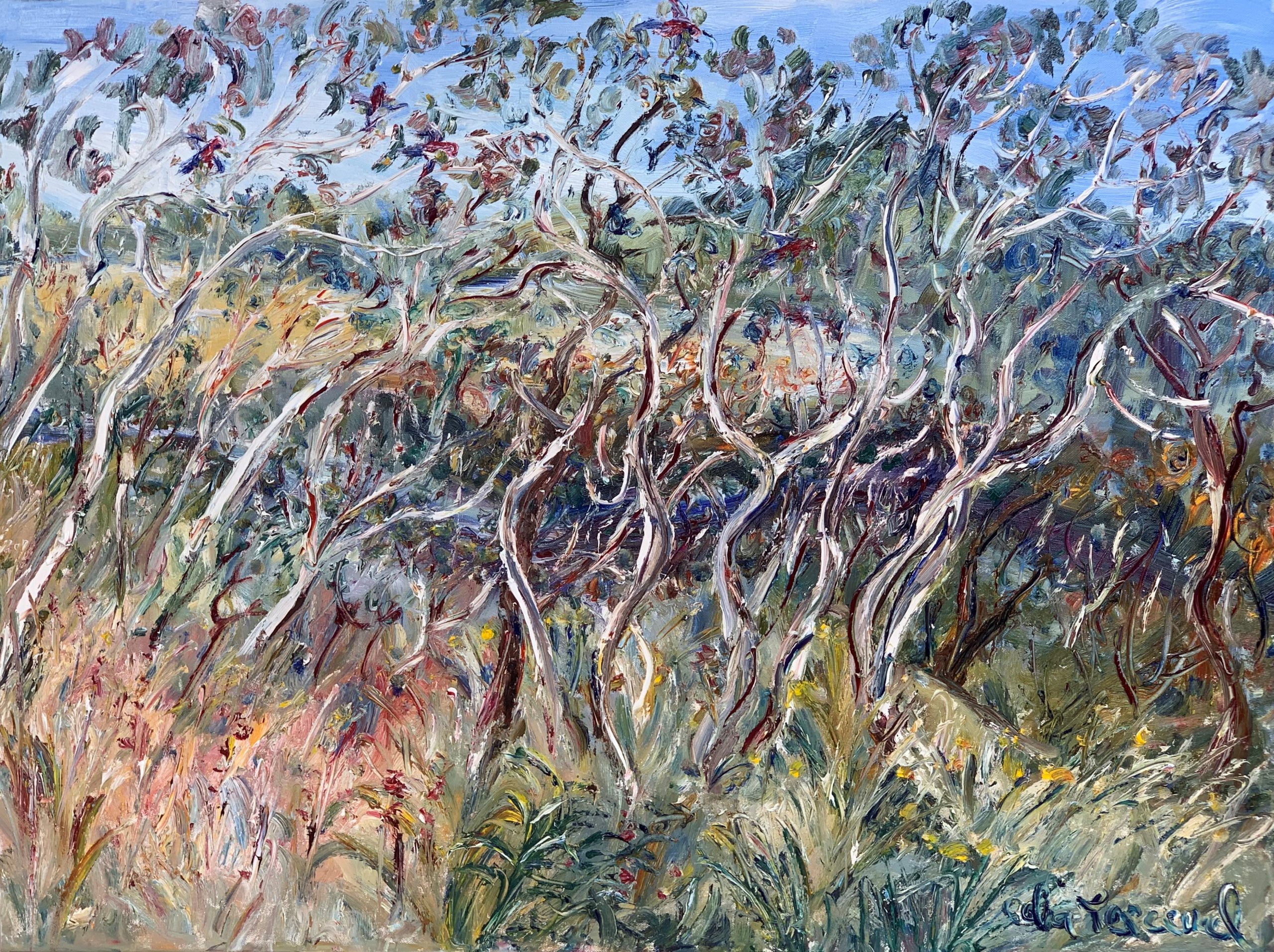 Celia Perceval 'Rosellas in the Snow Gums on Mongarlow River' oil on canvas 72 x 102cm SOLD
