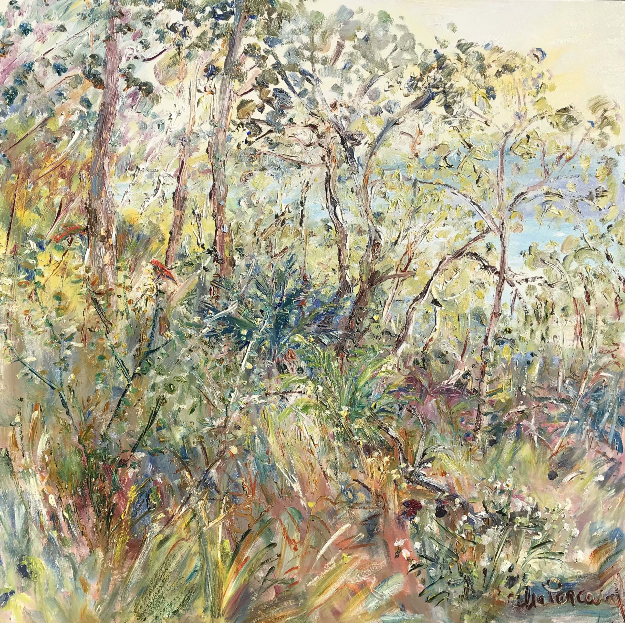 Celia Perceval 'Rosellas in the bush above the Clyde River’ oil on canvas 102 x 102cm $19,500