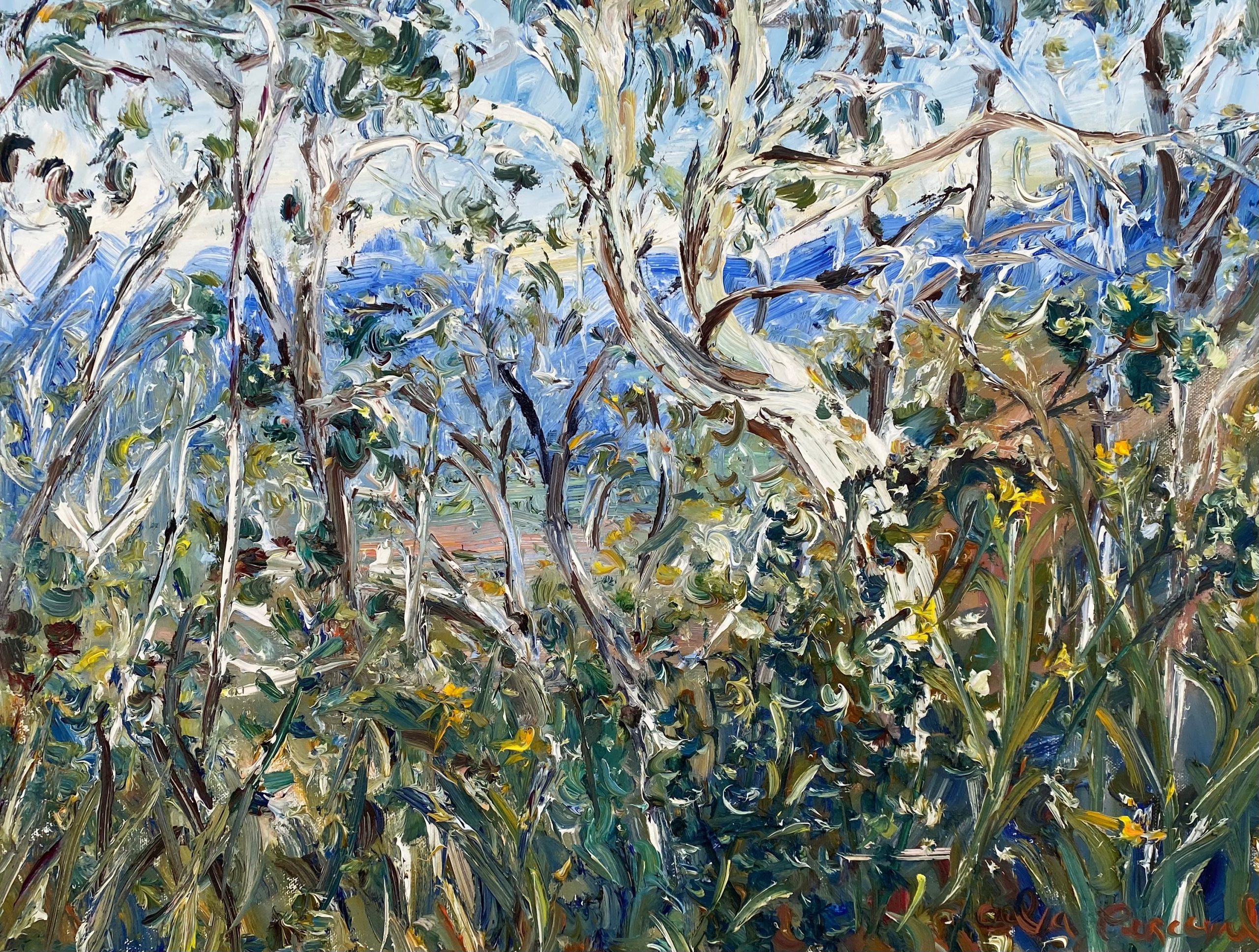 Celia Perceval 'Wildflowers Above the Araluen Valley' oil on canvas 46 x 61cm $9,000