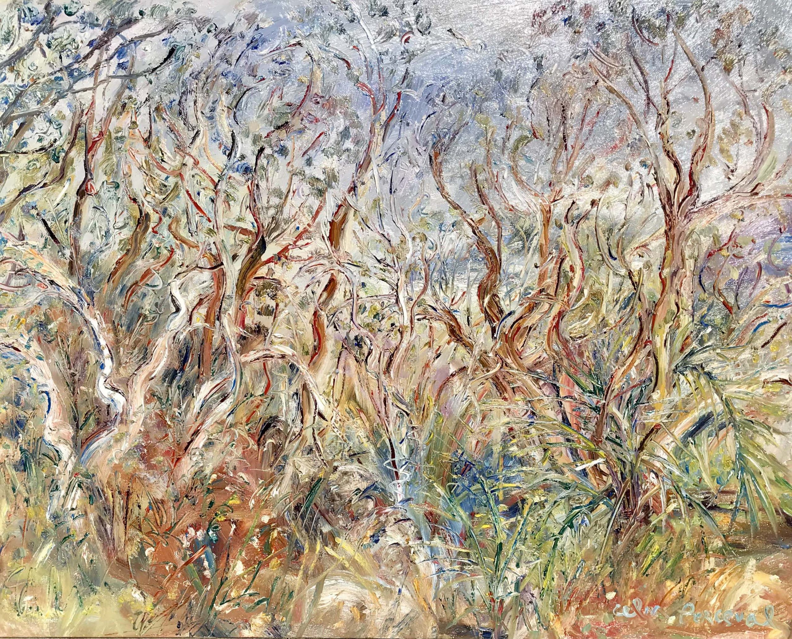 Celia Perceval 'Looking through angophora bush at the mist coming in from the sea at Blackbutt Reserve' oil on canvas 109 x 122cm $22,000