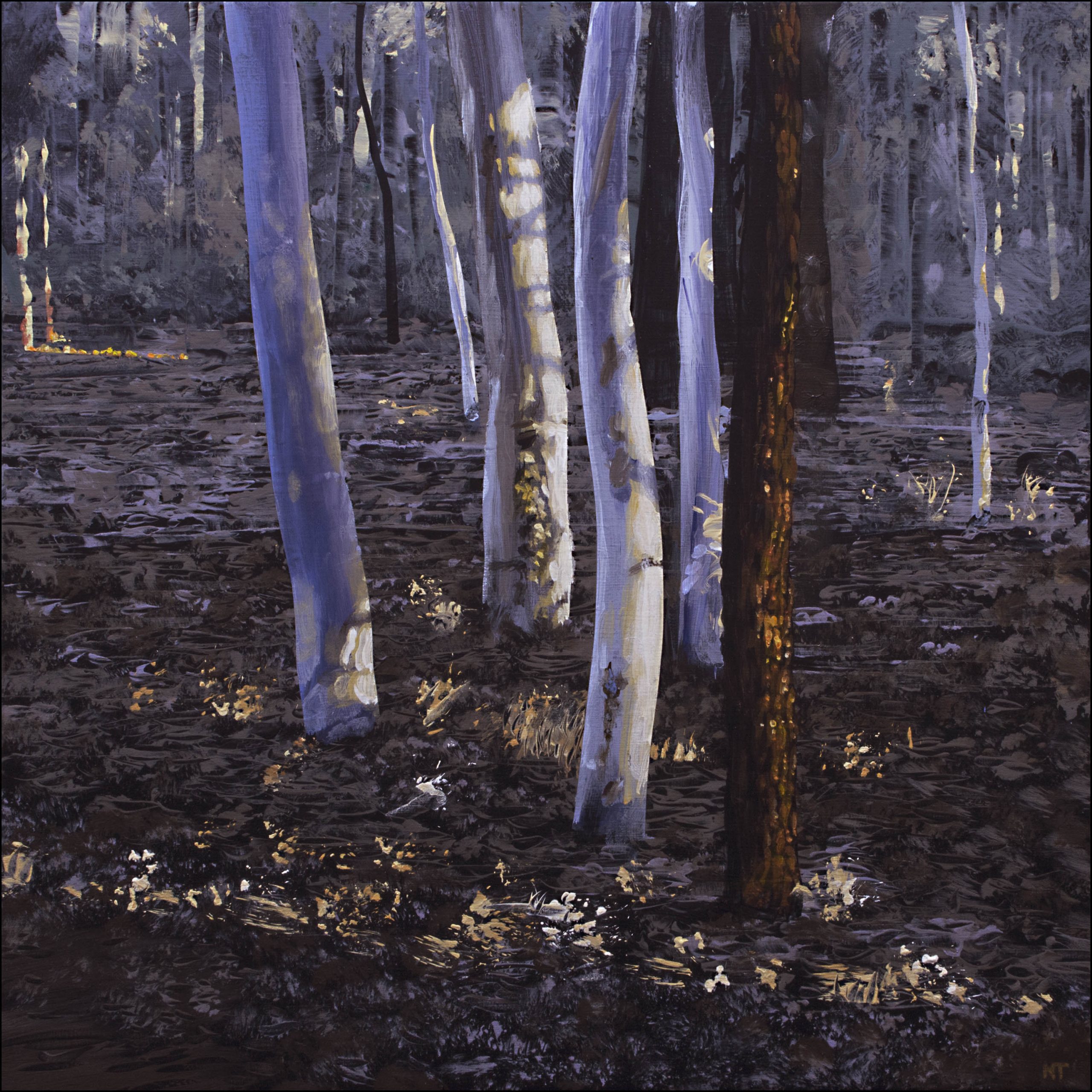 Neil Taylor 'Dawn In The Forest' acrylic on canvas 45 x 45cm $3,900 SOLD