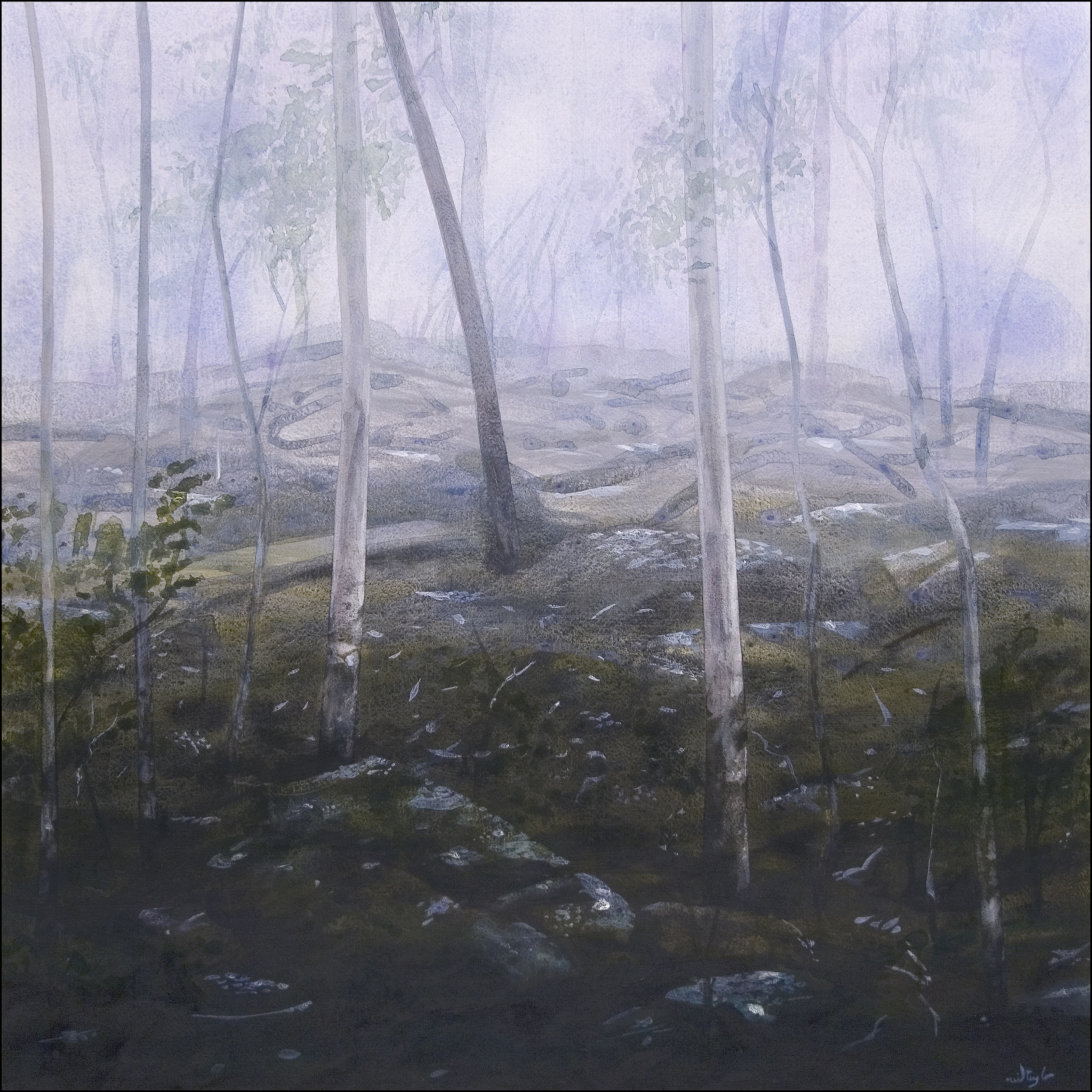 Neil Taylor 'Eucalypts And Mist' watercolour on paper on canvas 76 x 76cm $4,200