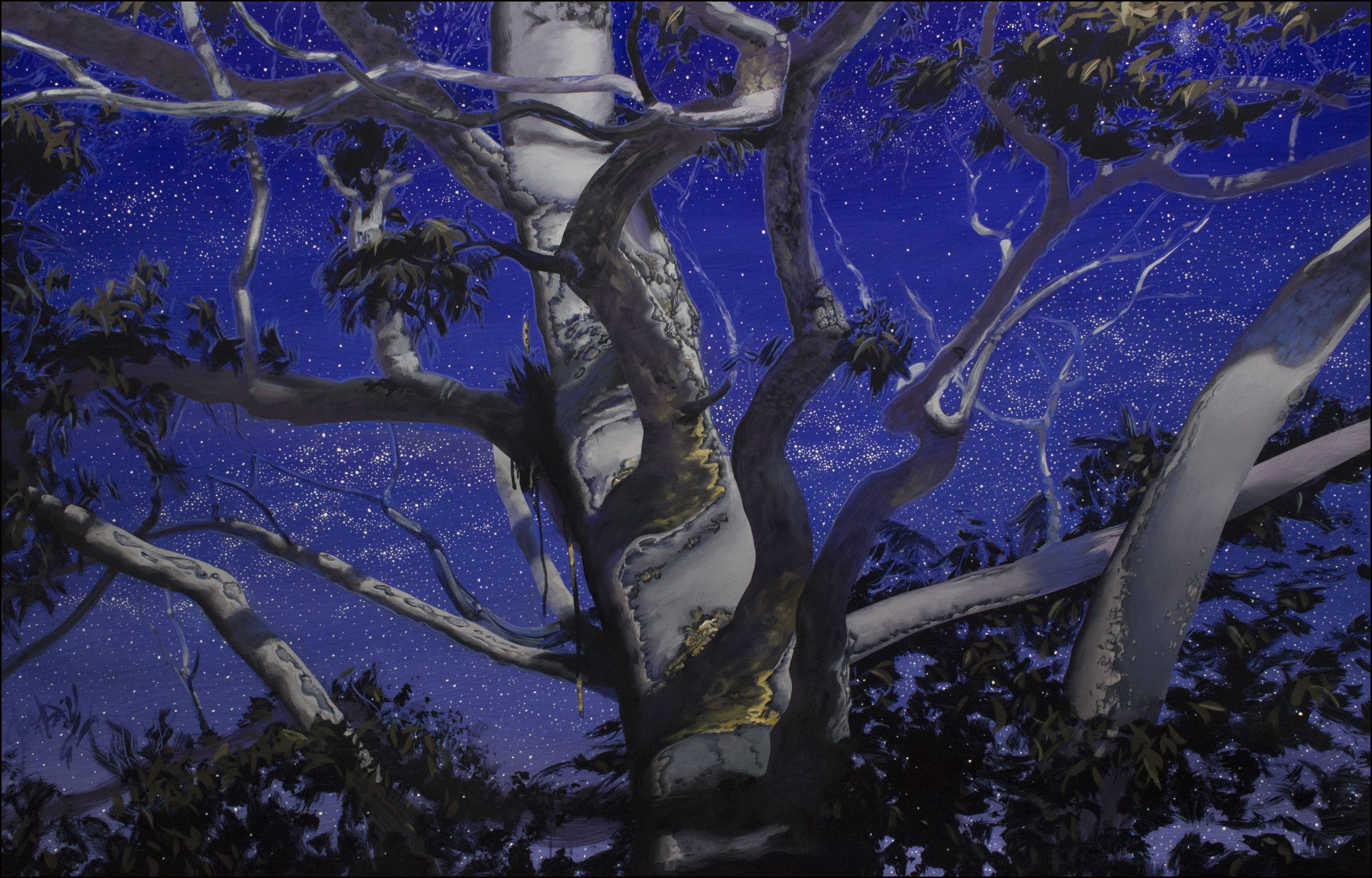 Neil Taylor 'Moonlight In Glory' acrylic on canvas 117 x 183cm $18,900