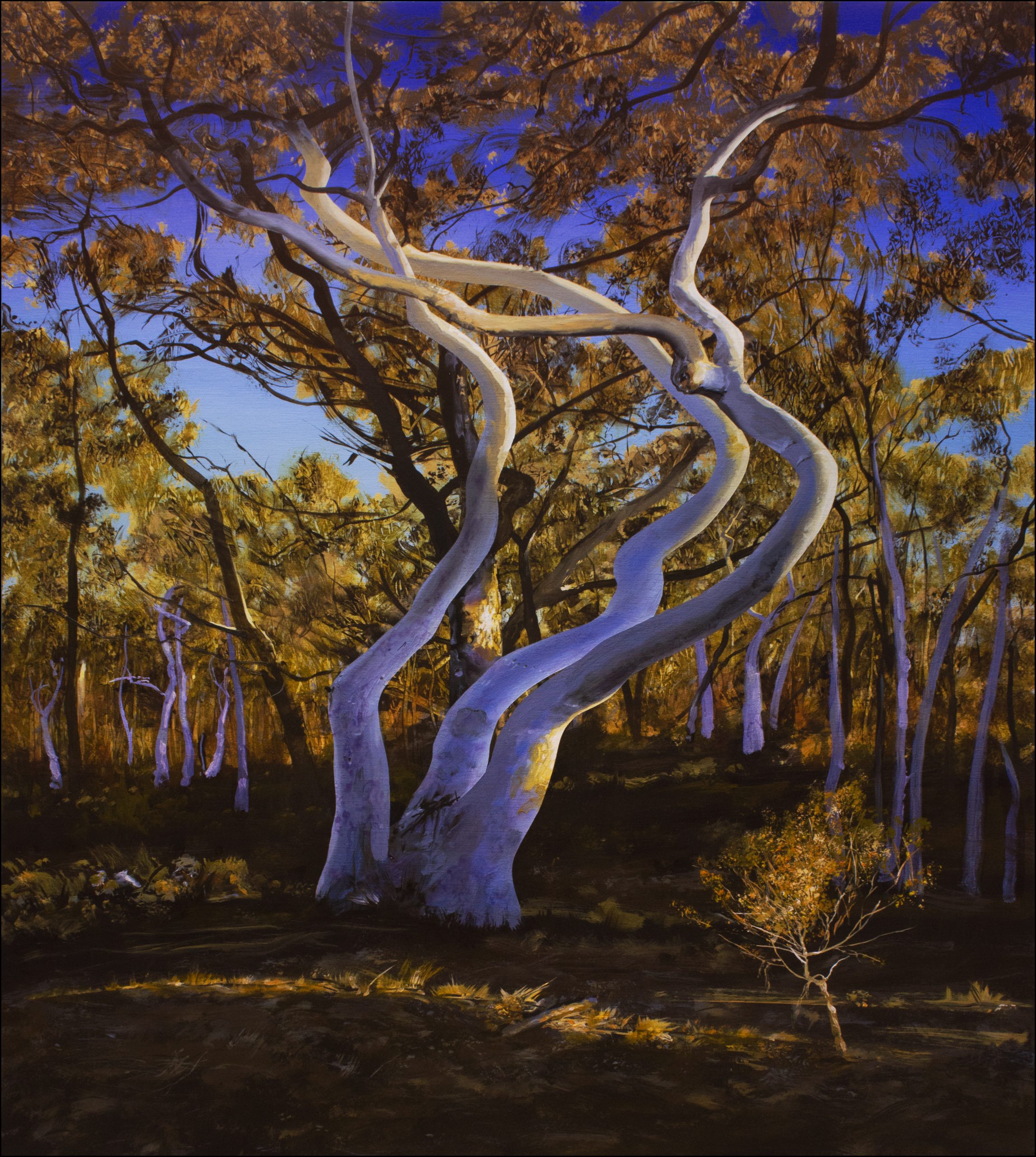 Neil Taylor 'Burramoku Blues' acrylic on canvas 153 x 137cm $17,600