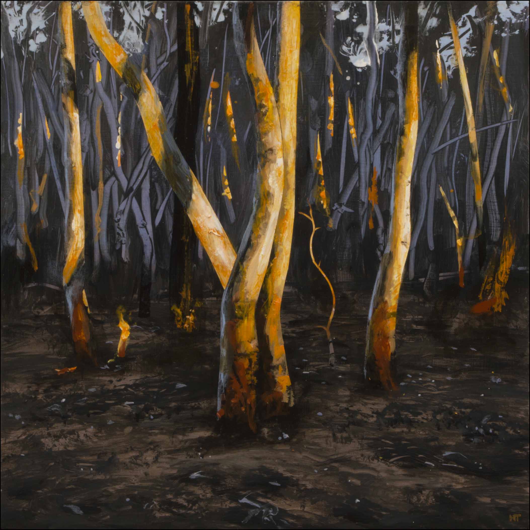 Neil Taylor 'Sundown Dancers' acrylic on canvas 40 x 40cm $3,500