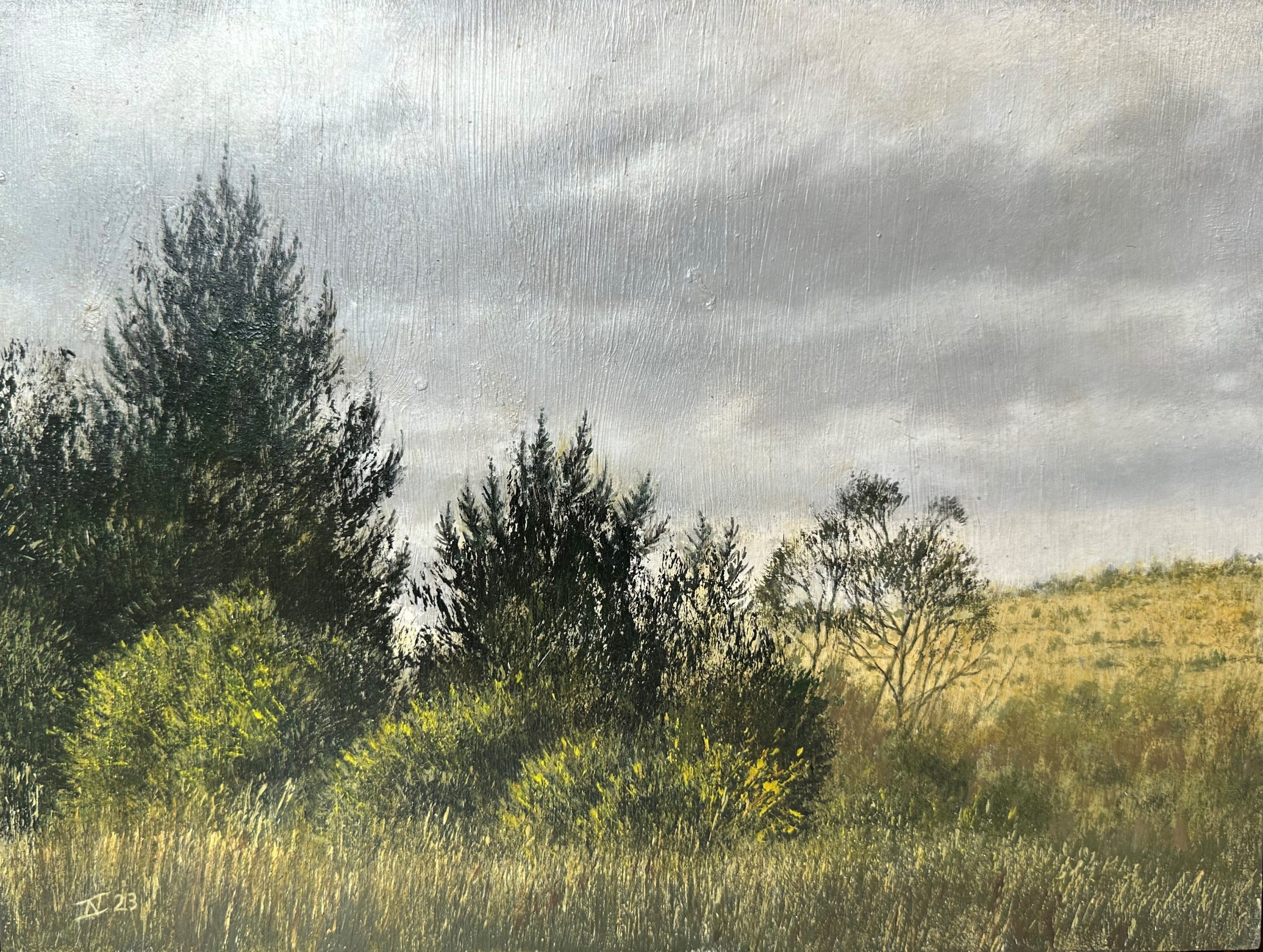 Nick Stathopoulos 'Quiet Little Landscape' oil on board 23 x 30cm $2,400