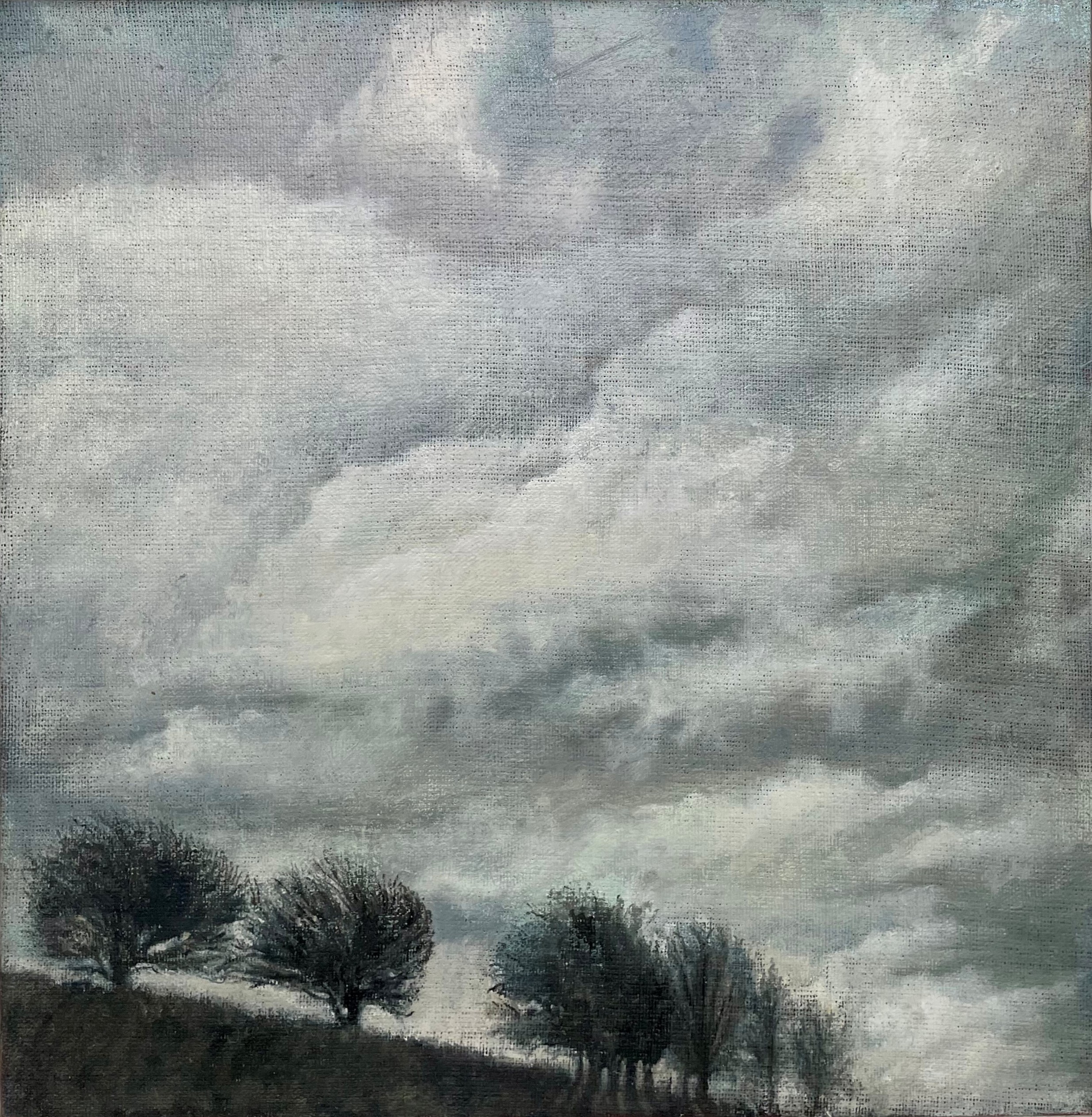 Boyd Sanday Ashen Gaze Relbia oil on linen 50 x 51cm $4600